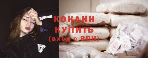 ПСИЛОЦИБИНОВЫЕ ГРИБЫ Кукмор