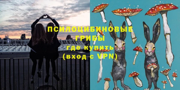 молекула духа Куйбышев