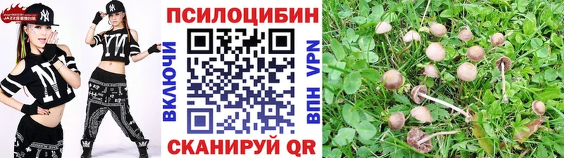 Галлюциногенные грибы прущие грибы Кудымкар