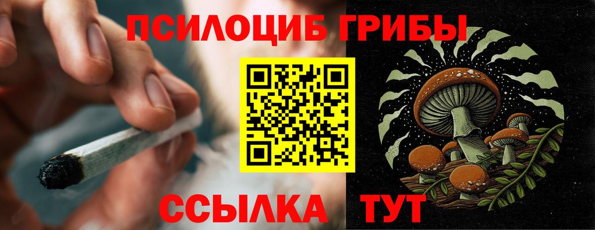 Галлюциногенные грибы Psilocybe Кудымкар