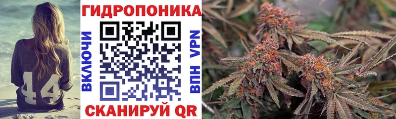 Конопля ГИДРОПОН  Кудымкар 